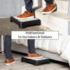 Mind Reader Platform Booster Step, Step Stool for Seniors, Indoor Outdoor, Riser, 17″ L x 13″ W x 3.5″ H, Black and White