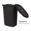Mind Reader Slim Laundry Hamper with Lid, 60L Clothes Basket, Premium Wicker Design, Plastic, Ivory(Brown)
