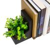 Mind Reader Contemporary Planter Bookends, Book Holders with Faux Greenery, Decorative Desktop or Shelf Organizer, Cement, Set of 2, Black