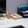 Mind Reader Paper Tray and Pen Cup Set, 2 Pcs., Desktop Organizer, Office, Rayon from Bamboo, 10″ L x 12.5″ W x 2.25″ H, Brown